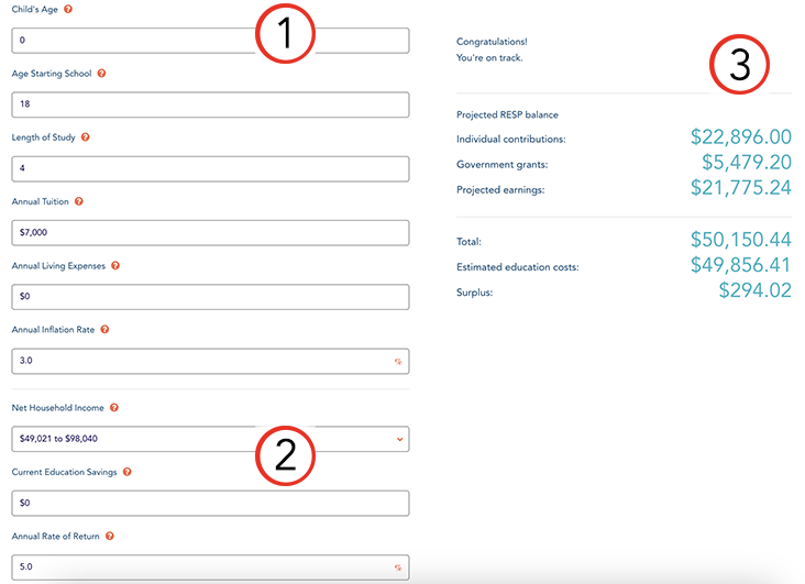 How to use the RESP Calculator